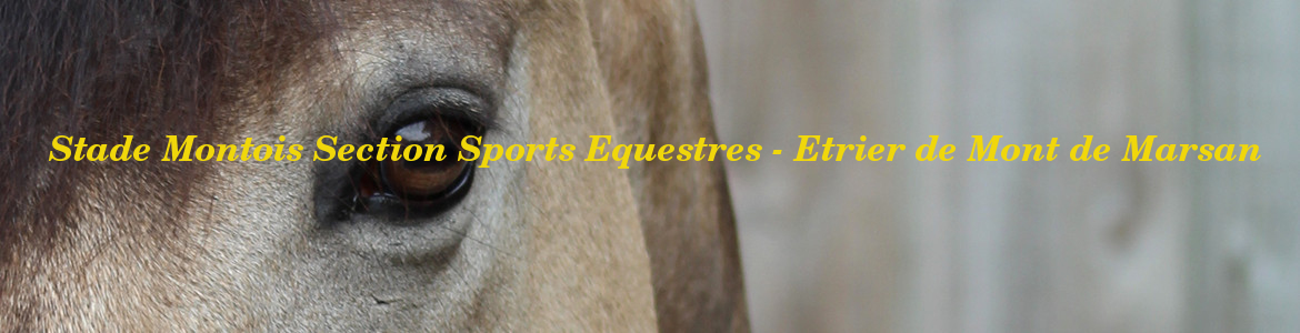  Stade Montois Section Sports Equestres - Etrier de Mont de Marsan